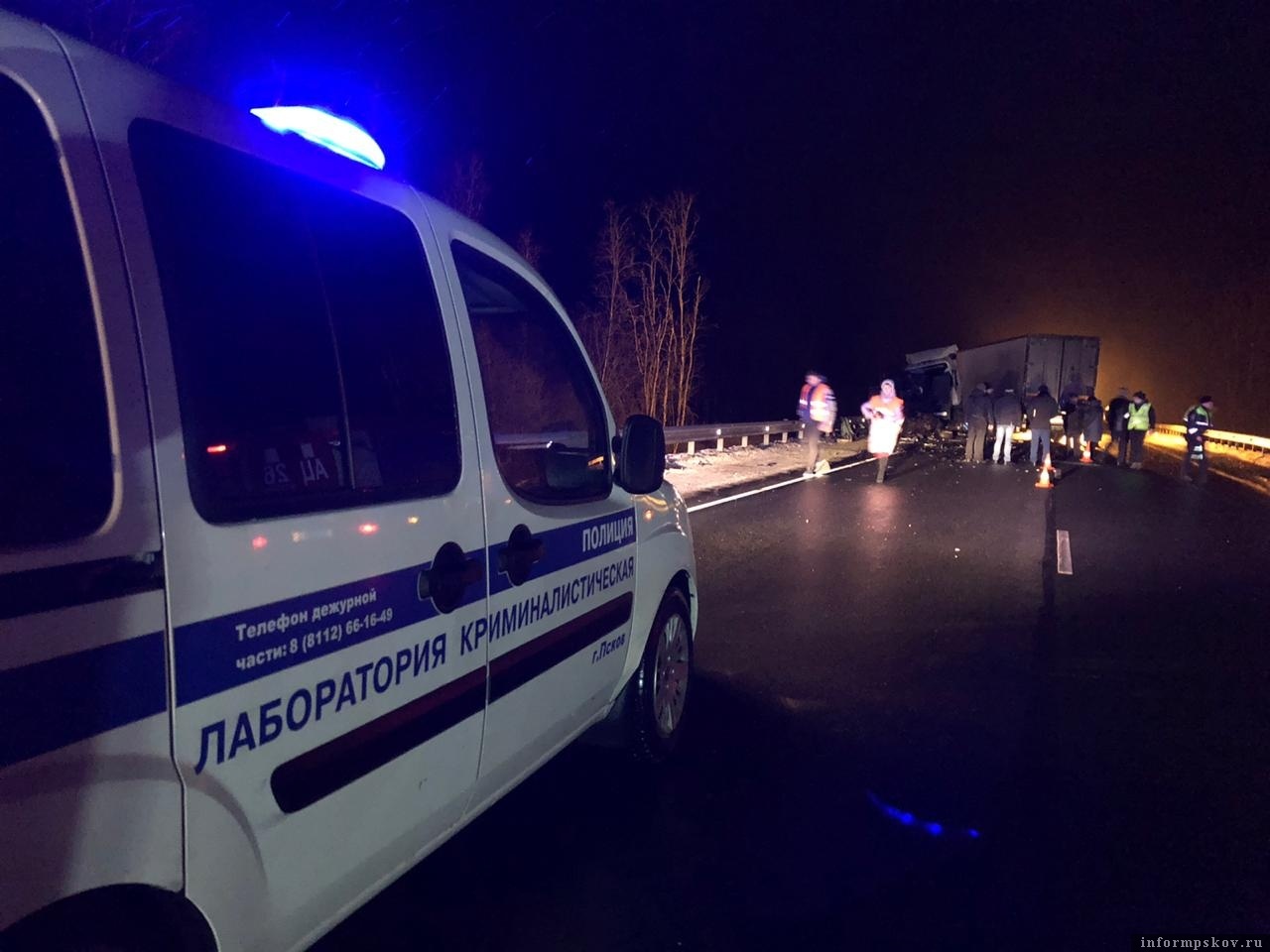 Фото УМВД России по Псковской области с сайта ПАИ informpskov.ru